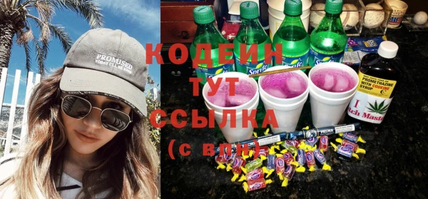 прущие грибы Абаза
