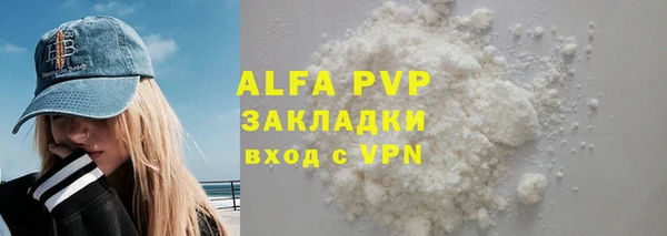 стаф Алексин