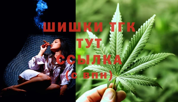 меф Нягань