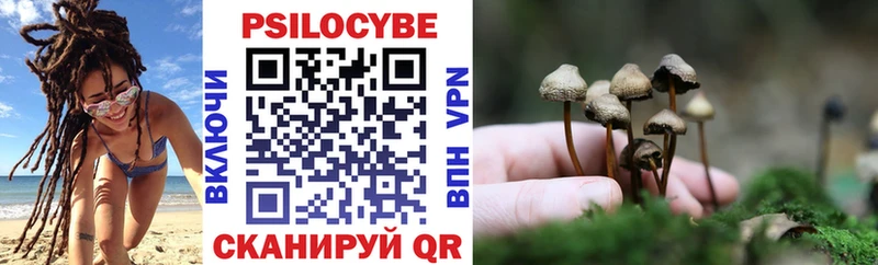 Галлюциногенные грибы Magic Shrooms  как найти наркотики  Усть-Илимск 